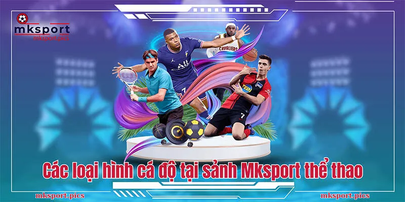 Các loại hình cá độ tại sảnh Mksport thể thao