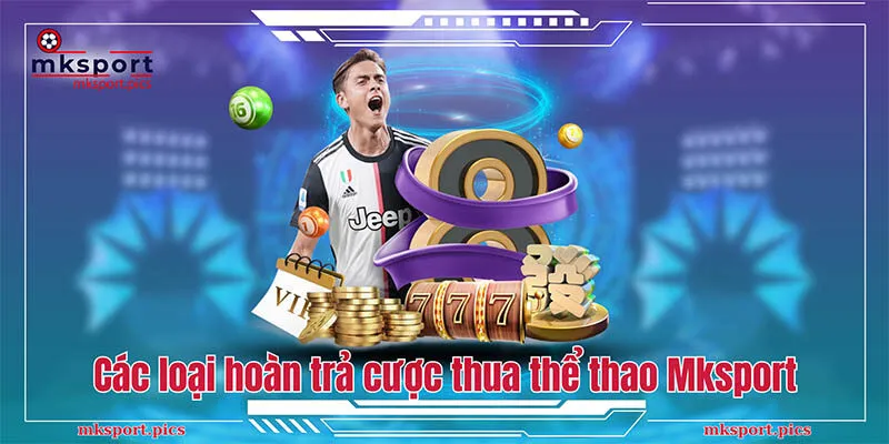 Các loại hoàn trả cược thua thể thao Mksport