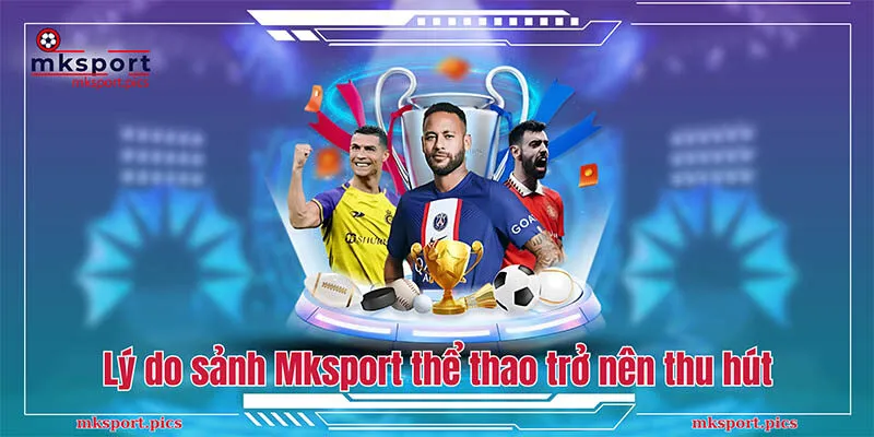 Giải mã lý do sảnh Mksport thể thao trở nên thu hút