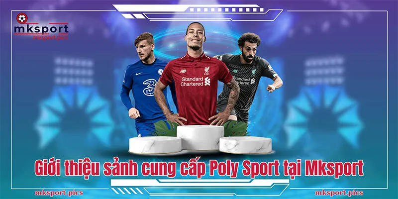 Giới thiệu sảnh cung cấp Poly Sport tại Mksport