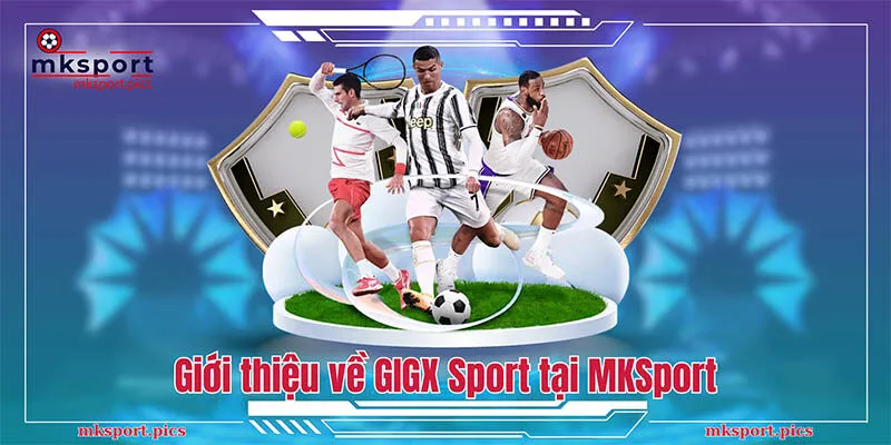 Giới thiệu về GIGX Sport tại MKSport