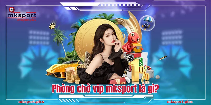 Phòng chờ vip mksport là gì