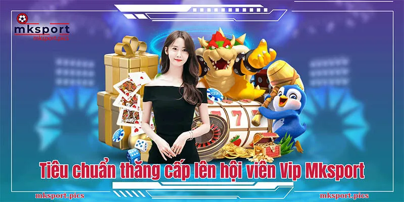 Tiêu chuẩn thăng cấp lên hội viên Vip tại Mksport